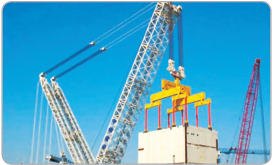 ��늵��b����